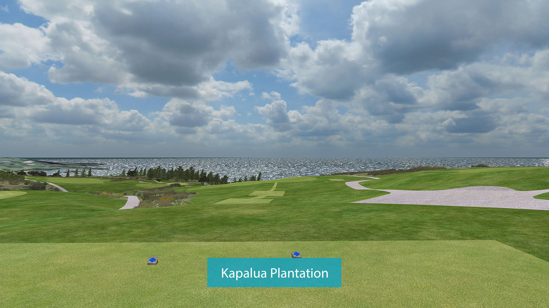 Kapalua Plantation copy